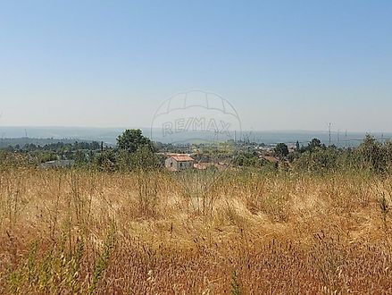 image-3p8F4v3BG3F-0