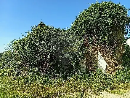 image-BHSJD6p97Ww-0
