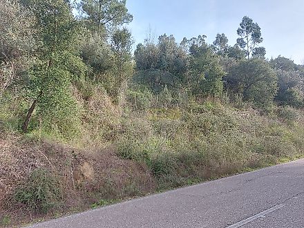 image-HDVsr0wIb8n-0