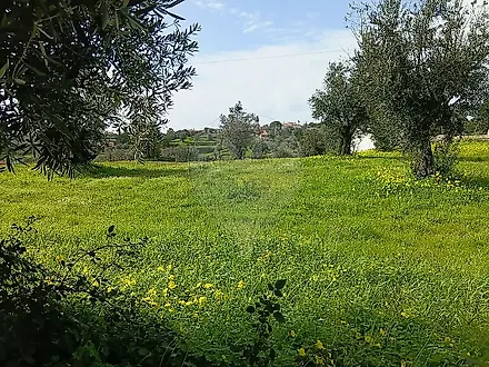 image-KG7QRFJmqxC-0