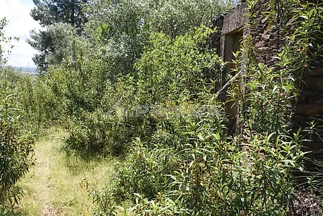 image-ATqYFWuZKJe-0