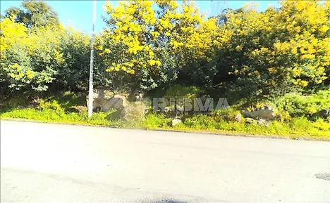 listing-DKruw41eUjo