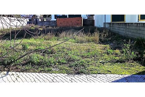 image-2zC6r5EOAiI-0