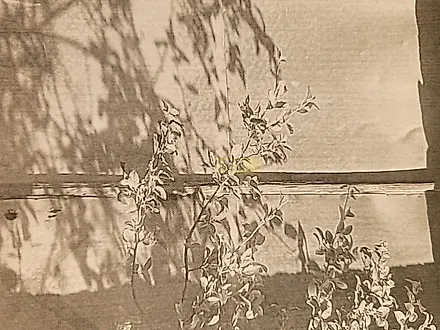 image-2TFoyZUkCwn-0