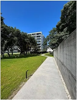 image-H9juJEYQKjM-0