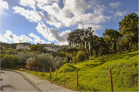 Terreno em Proença-a-Nova