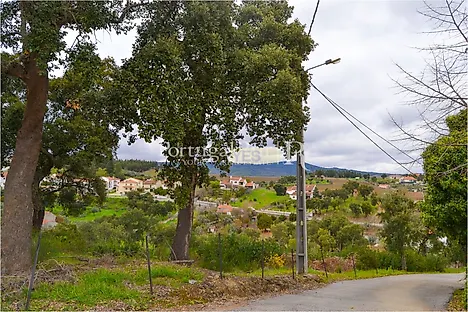 Terreno em Proença-a-Nova