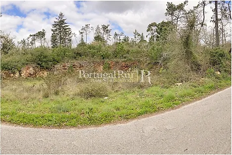 Land for sale in Condeixa-a-Nova, Portugal — €75,000