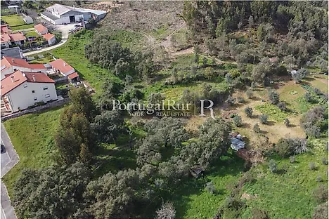 Terreno em Proença-a-Nova