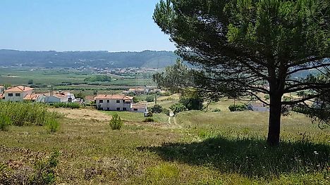 Land for sale in Nazaré, Portugal — €130,000