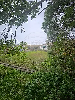 image-K37jqTpXkQ3-0