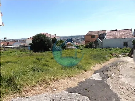 image-EJUTZ6s51jh-0