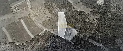 listing-Ej9LFVOdQJO