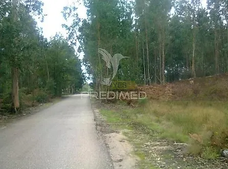image-FUBENo2l01C-0
