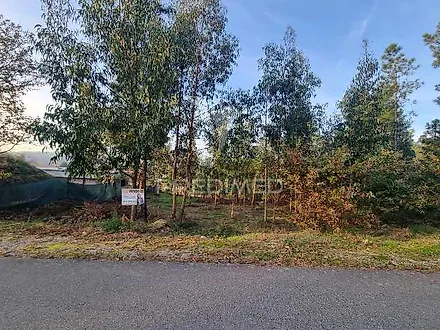 listing-Hk8SlSV8kCt