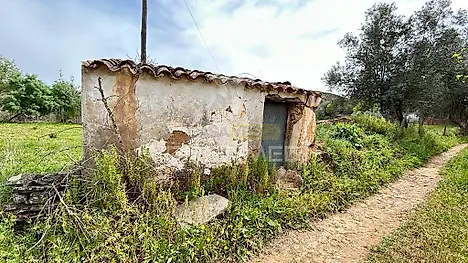 image-AKxl45VRfBi-0