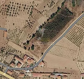 image-9ZwdXljmePx-0
