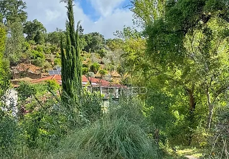 image-GRXO71N8r0K-0