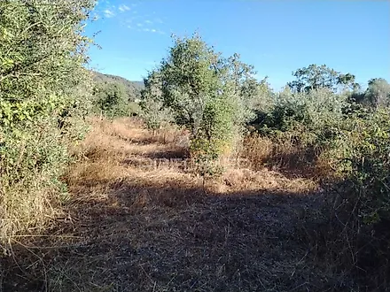 listing-DDlzSnczPSV