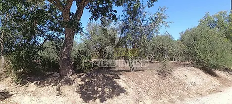 image-DjfkotwM800-0