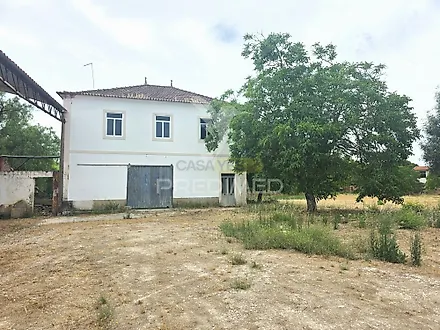 image-5uQFakXma8q-0