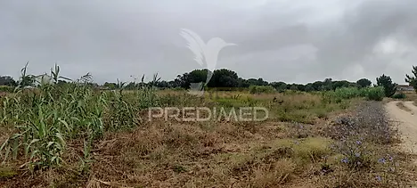 image-Ac1v5a1qjoy-0
