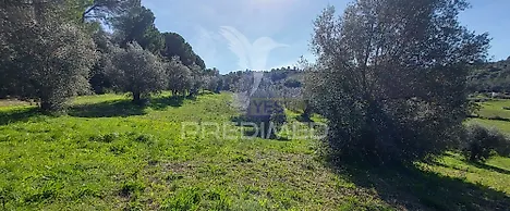 image-C5M3Vq0PP3q-0