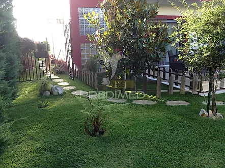 image-GUPeO798vgR-0