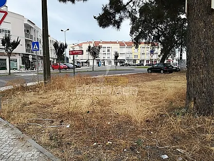 image-Kx6nkdzX3tu-0