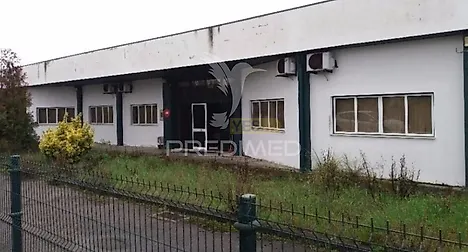 image-CmGhE3d9Mbm-0