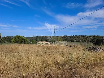 image-LrkcxJYoDaU-0