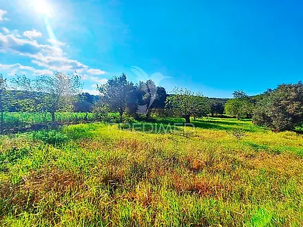 image-2niY56NnB8V-0
