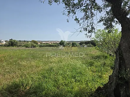 image-8lpW306m20l-0