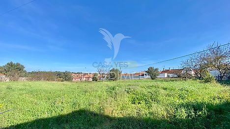 Land for sale in Rio Maior, Portugal — €89,000