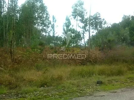 Land for sale in Oliveira do Bairro, Portugal — €66,000