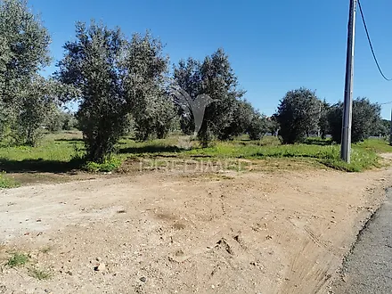 Land for sale in Vila Nova da Barquinha, Portugal — €127,000