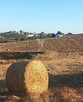Terreno em Redondo