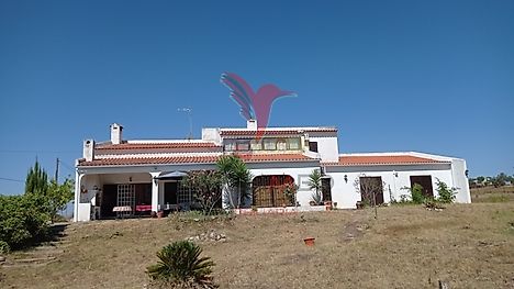 image-48AZvBvnFgH-0