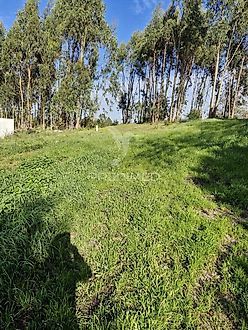 Land for sale in Caldas da Rainha, Portugal — €100,000