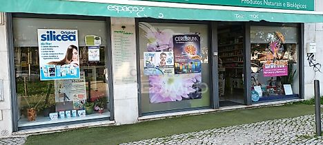 image-6IUtBJqI8aZ-0