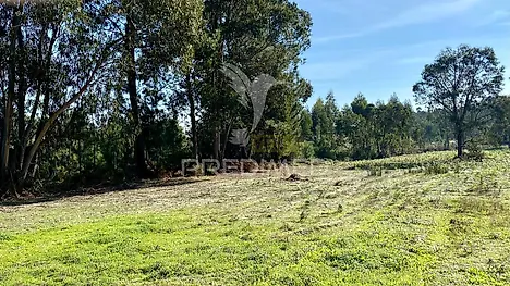 Land for sale in Rio Maior, Portugal — €80,000