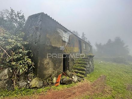 image-6zpUQ2NG9x2-0