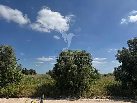 Land for sale in Palmela, Portugal — €198,500
