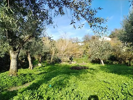image-9JywwDZIDA7-0