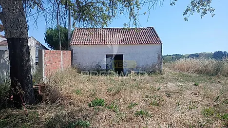 image-9a281y58eER-0