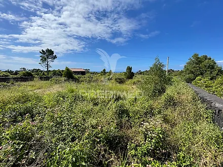 Terreno em São Roque do Pico