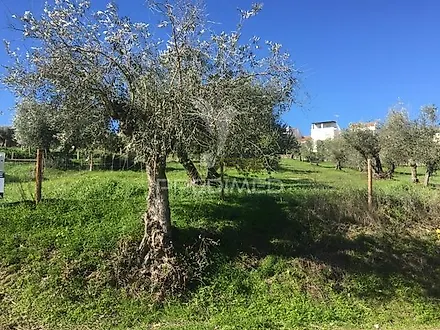 listing-HY5l3255DOP
