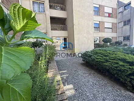 image-5km23jJpJXC-0