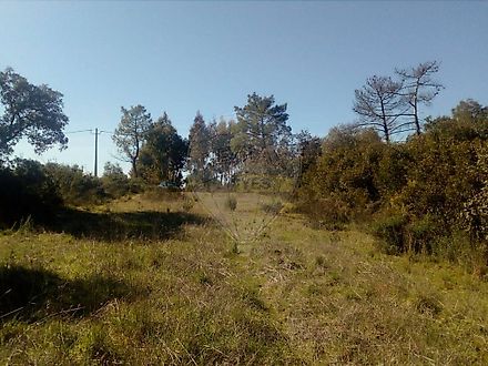 image-5XKibABpCqL-0