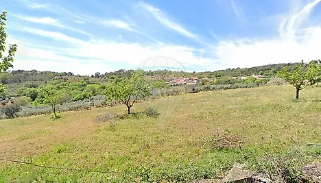 image-3tBhwiho5SD-0